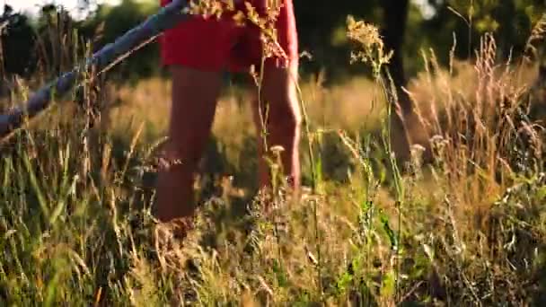 Young Man Mows Grass Mechanical Scythe Sunset — Stok video