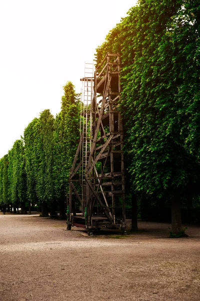 wooden scaffolding for pruning and tree care in the park
