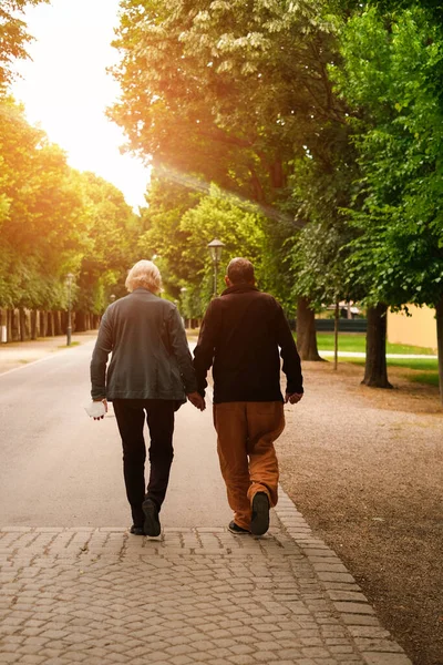 Elderly Couple Walking Hand Hand Park Sunset — Foto de Stock