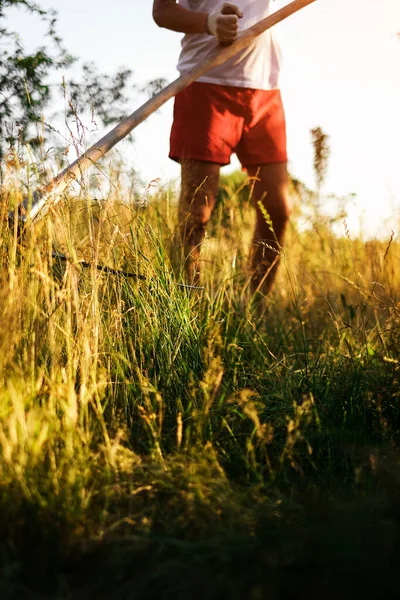 Man Mows Grass Mechanical Scythe Harvest — Stock fotografie