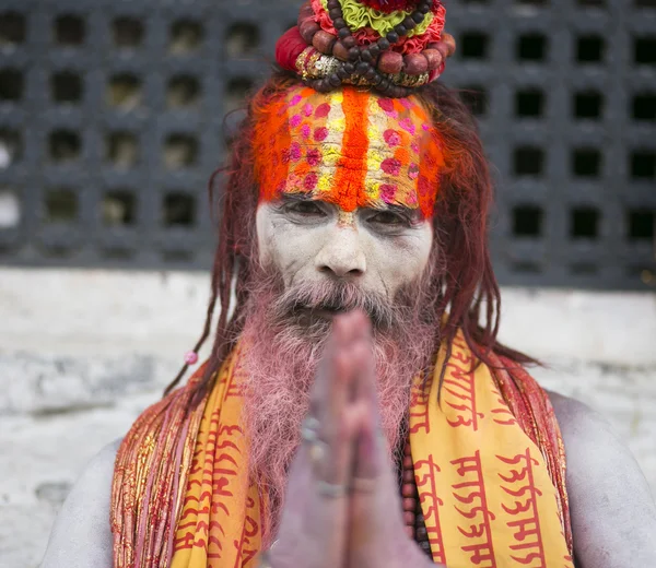 Πορτρέτο του sadhu — Φωτογραφία Αρχείου