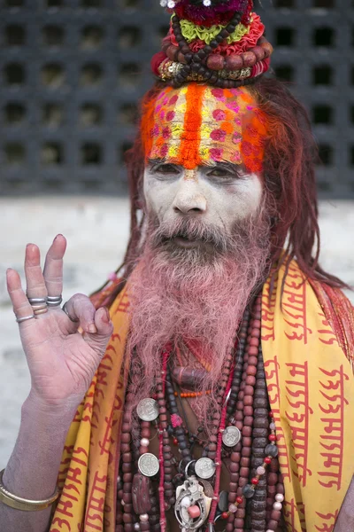 Portrait of Sadhu — Stock Photo, Image