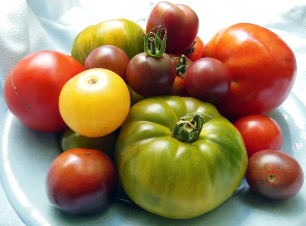 Tomates herederos del jardín — Foto de Stock