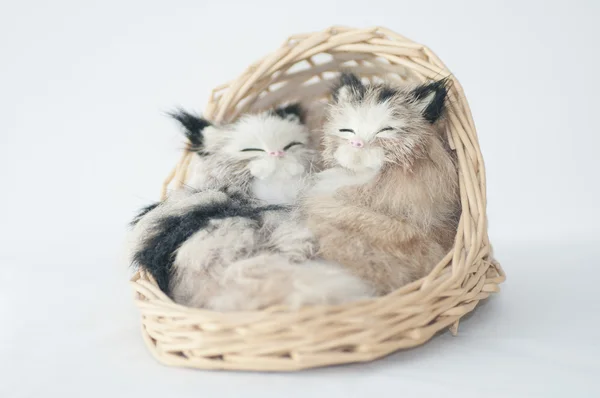 Dos gatos durmiendo Imagen De Stock
