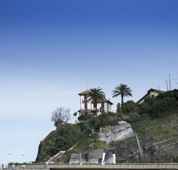 Casa com palma — Fotografia de Stock