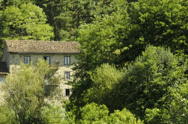 Casa da floresta — Fotografia de Stock