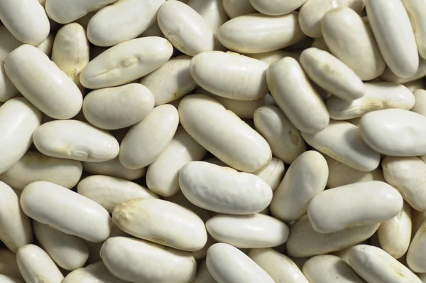 White beans — Stock Photo, Image