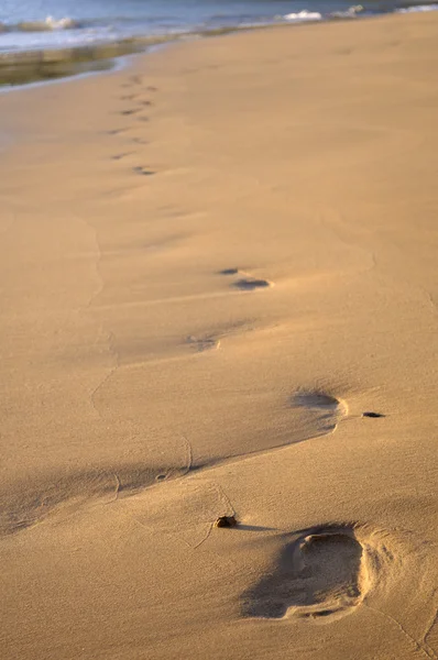 Kumda ayak izleri