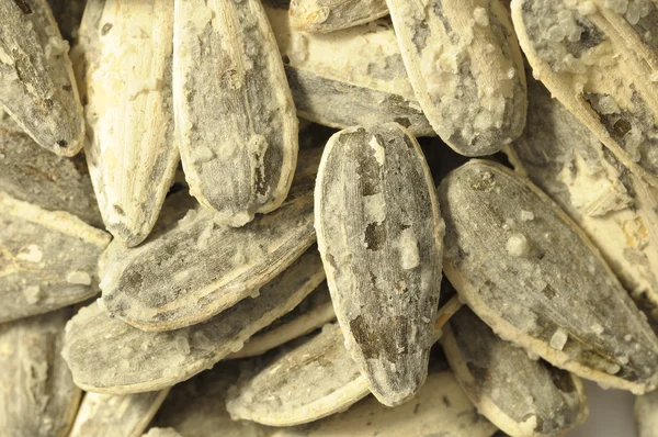 Salty sunflower seeds — Stock Photo, Image