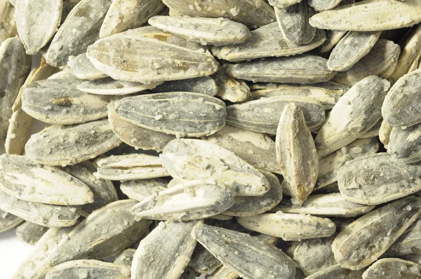 Salty sunflower seeds — Stock Photo, Image