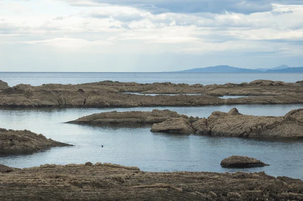 Da un torrente — Foto Stock