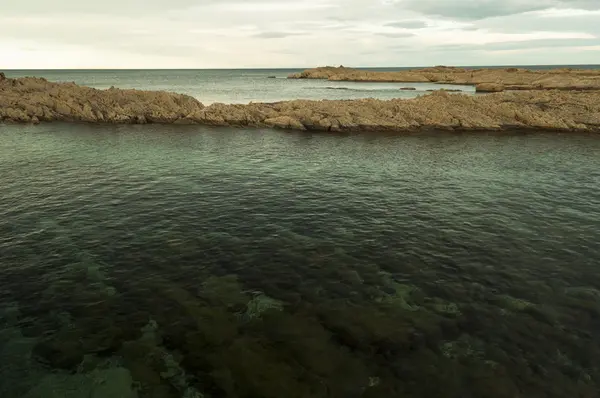 Lecho marino — Foto de Stock