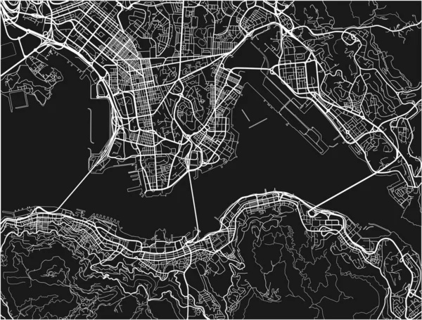 Carte Ville Vectorielle Noir Blanc Hong Kong Avec Des Couches — Image vectorielle