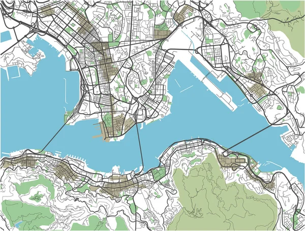 Carte Ville Vectorielle Hong Kong Colorée — Image vectorielle