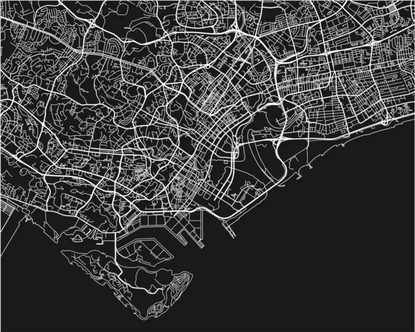 Singapur Iyi Organize Edilmiş Siyah Beyaz Şehir Haritası — Stok Vektör