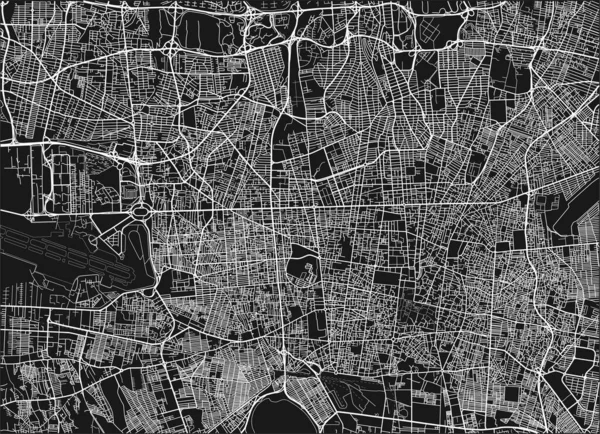 Mapa Cidade Vetorial Preto Branco Teerã Com Camadas Separadas Bem — Vetor de Stock
