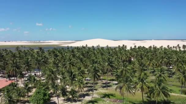 Vista Aérea Lagos Águas Pluviais Dunas Areia Jericoacoara Ceará Destinos — Vídeo de Stock