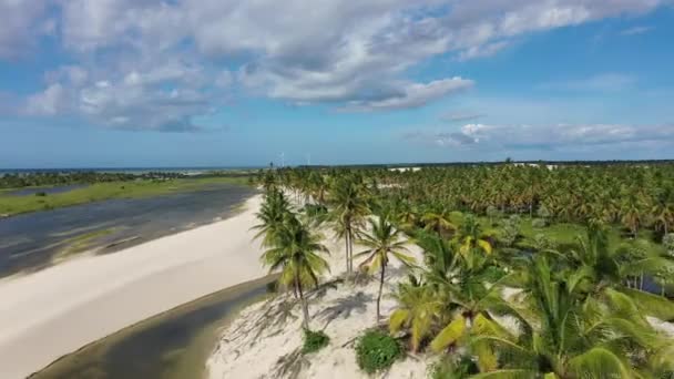 Panoramic Landscape Jericoacoara Ceara Brazil Scenic Sand Dunes Turquoise Rainwater — Stock Video