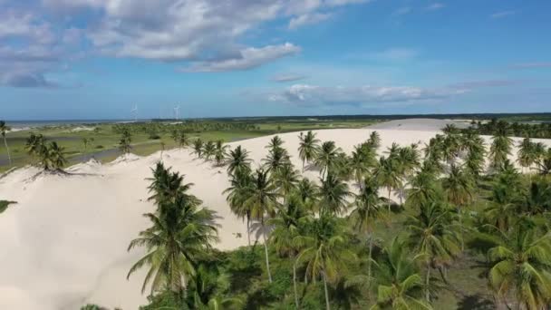 Jericoacoara Brasilien Tropische Landschaft Für Urlaubsreisen Nordostbrasilien Internationale Reiseziele — Stockvideo