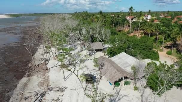 Jericoacoara Ceara Brazylia Piaszczyste Wydmy Laguny Deszczowe Północno Wschodnim Brazylijskim — Wideo stockowe