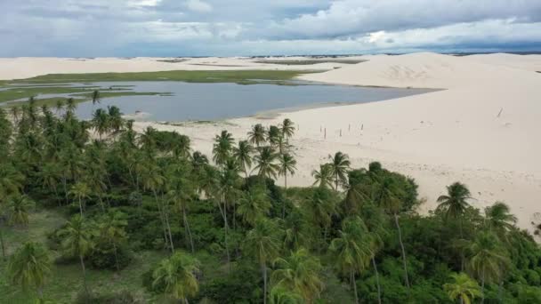 Jericoacoara Ceara Brazília Homokdűnék Hegyek Esővíz Lagúnák Északkelet Brazil Paradicsomban — Stock videók