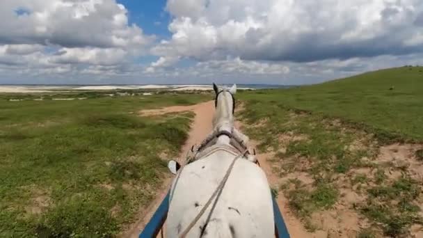 Jericoacoara Ceara Brasil Dunas Arena Montañas Lagunas Agua Lluvia Paraíso — Vídeos de Stock