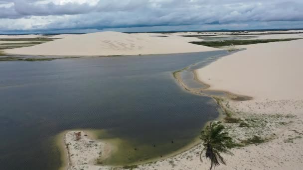 Jericoacoara Brasil Paisagem Tropical Para Viagens Férias Nordeste Brasil Destinos — Vídeo de Stock