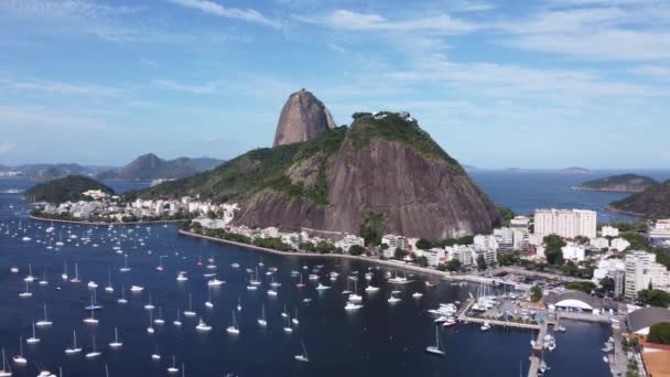 Aerial Landscape Summer Travel Rio Janeiro Brazil Landmark Coast City — Stockvideo