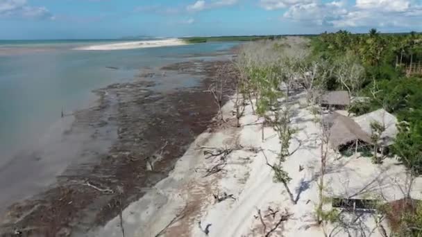 Panoramisch Landschap Van Jericoacoara Ceara Brazilië Landschappelijke Zandduinen Turquoise Regenwatermeren — Stockvideo