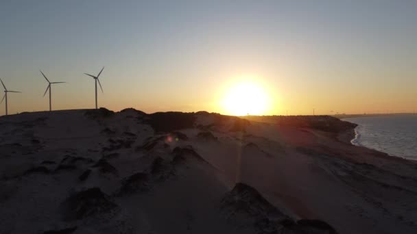 Северо Восток Бразилии Пляж Каноа Кебрада Песчаными Дюнами Пустынным Ландшафтом — стоковое видео