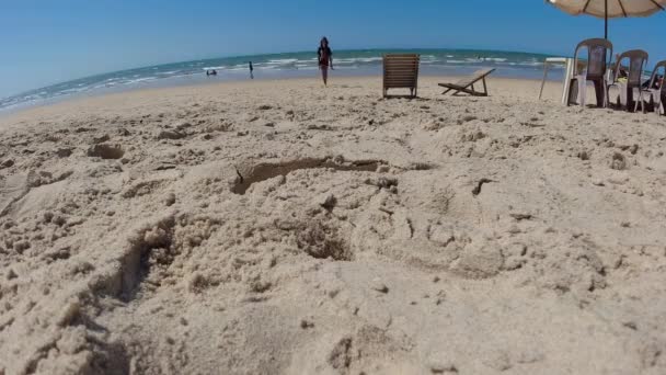 Zomer Reisbestemming Tropisch Landschap Strand Oriëntatiepunt Bij Braziliaanse Staat Ceara — Stockvideo