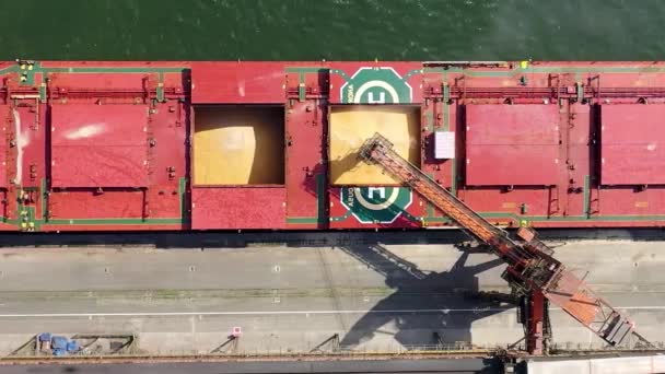 Vue Aérienne Cargo Dans Station Accueil Port Santos Navire Porte — Video
