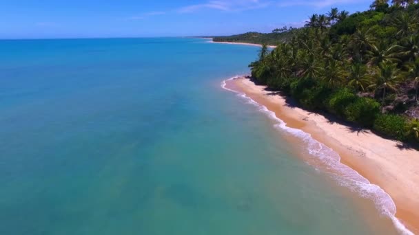 Paysage Estival Plage Tropicale Bahia Brésil Caraiva Beach Point Repère — Video