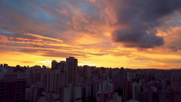 Widok Lotu Ptaka Centrum Sao Paulo Brazylia Słynny Zabytek Turystyki — Wideo stockowe
