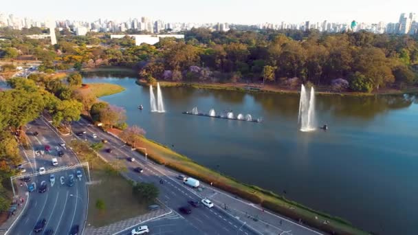 Metropolis Panoramic Cityscape Downtown Sao Paulo Brazil Famous Tourism Landmark — Stock Video