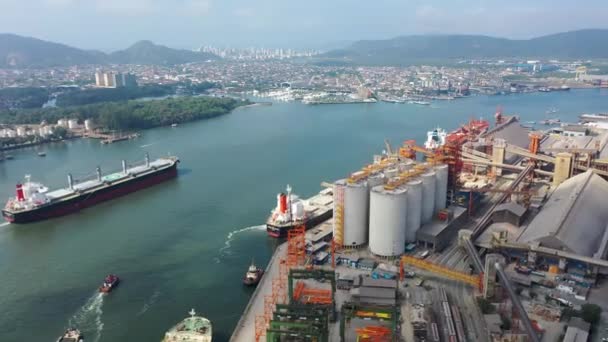 Aerial View Freight Ship Dock Station Santos Port Container Ship — Stockvideo