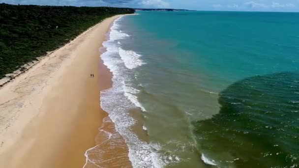 Paisagem Verão Praia Tropical Bahia Brasil Marcação Praia Caraiva Nordeste — Vídeo de Stock