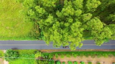 Kırsal manzaranın panoramik görüntüsü. Kırsal manzara, hava manzarası. Tropik bir manzara. Yeşil arka plan. Brezilya tarım sektörü. Çiftlik tarım arazisi.