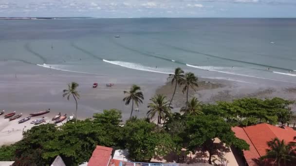 ジェリコ ブラジル 休暇旅行のための熱帯風景 ブラジル北東部 国際旅行先 — ストック動画