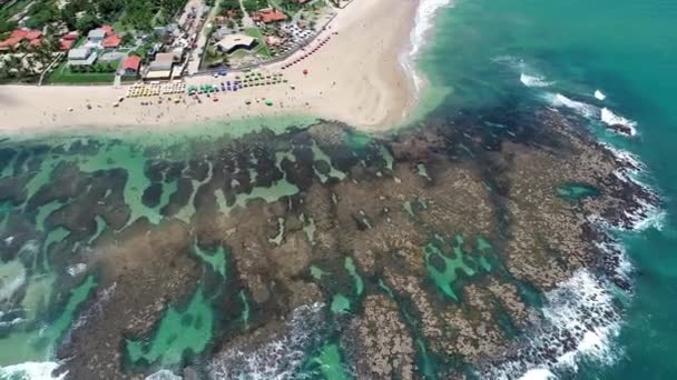 Sahil Koyu Suyu Brezilya Nın Kuzeydoğusundaki Ünlü Seyahat Noktasında Tropikal — Stok video