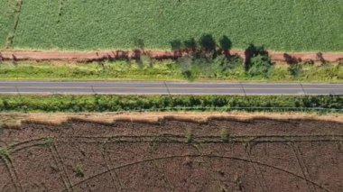Kırsal manzaranın panorama görüntüsü. Kırsal manzara, hava manzarası. Tropik bir manzara. Çiftlik tarım alanı. Yeşil arka plan. Brezilya tarım sektörü.