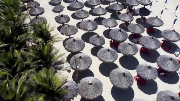 Tropikalna Sceneria Plaży Fortaleza Stanie Ceara Brazylia Tropikalna Sceneria Międzynarodowe — Wideo stockowe