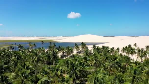 Jericoacoara Beach Ceara Brasilien Exotiska Tropiska Resmål Sanddyner Stranden Landskap — Stockvideo