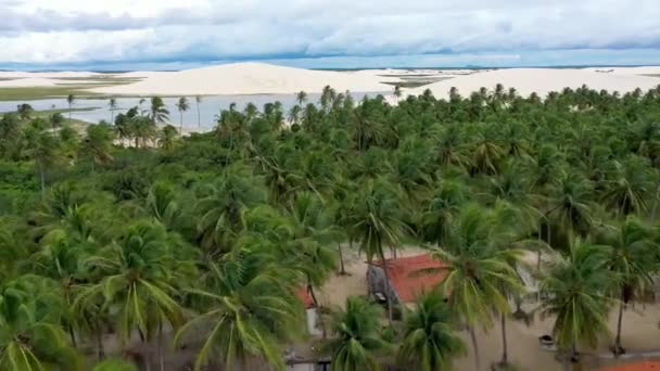 Jericoacoara Ceara Brazilië Zandduinen Bergen Regenwaterlagunes Het Noordoosten Van Het — Stockvideo