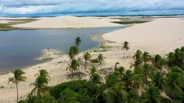 시어라 브라질 북동쪽 브라질인의 낙원에 웅덩이가 여행목적지 — 비디오