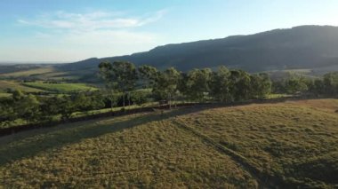 Kırsal kesimdeki tarım arazisinin havadan manzarası. Yeşil arkaplan ve alan sahnesi.