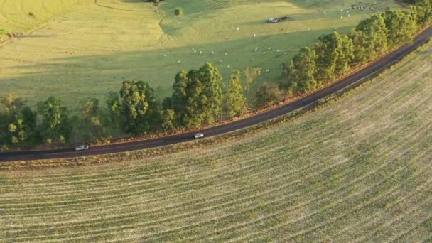 Luftaufnahme Einer Bäuerlichen Landschaft Auf Dem Land Grüner Hintergrund Und — Stockvideo