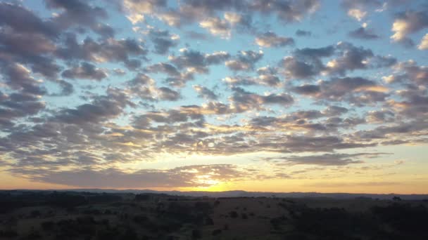 田舎での農業風景の日没の空中風景 緑の背景とフィールドシーン — ストック動画