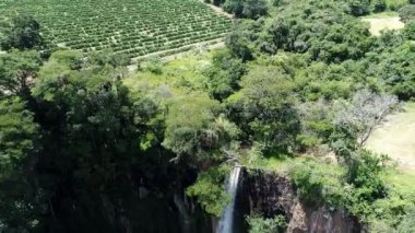 Kırsal kesimdeki tarım arazisinin havadan manzarası. Yeşil arkaplan ve alan sahnesi.