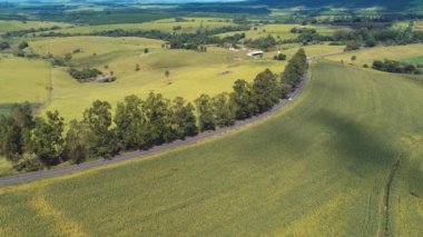 Kırsal kesimdeki tarım arazisinin havadan manzarası. Yeşil arkaplan ve alan sahnesi.